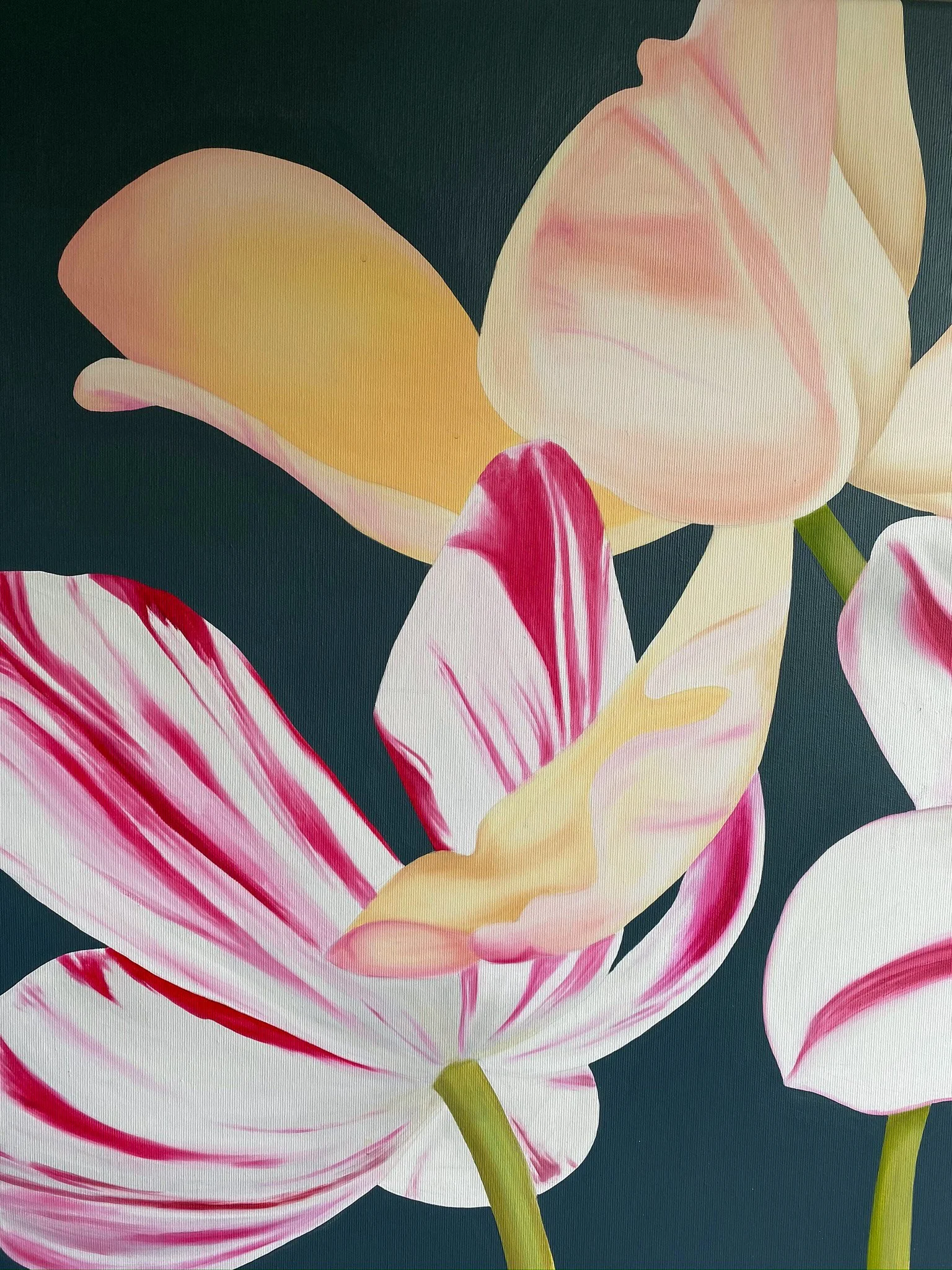 ロイベッサー『BEAUTIFUL TULIPS』★オリジナル作品★ Amazon.com: Tulips Flower Puzzles for Adults 1000 Pieces